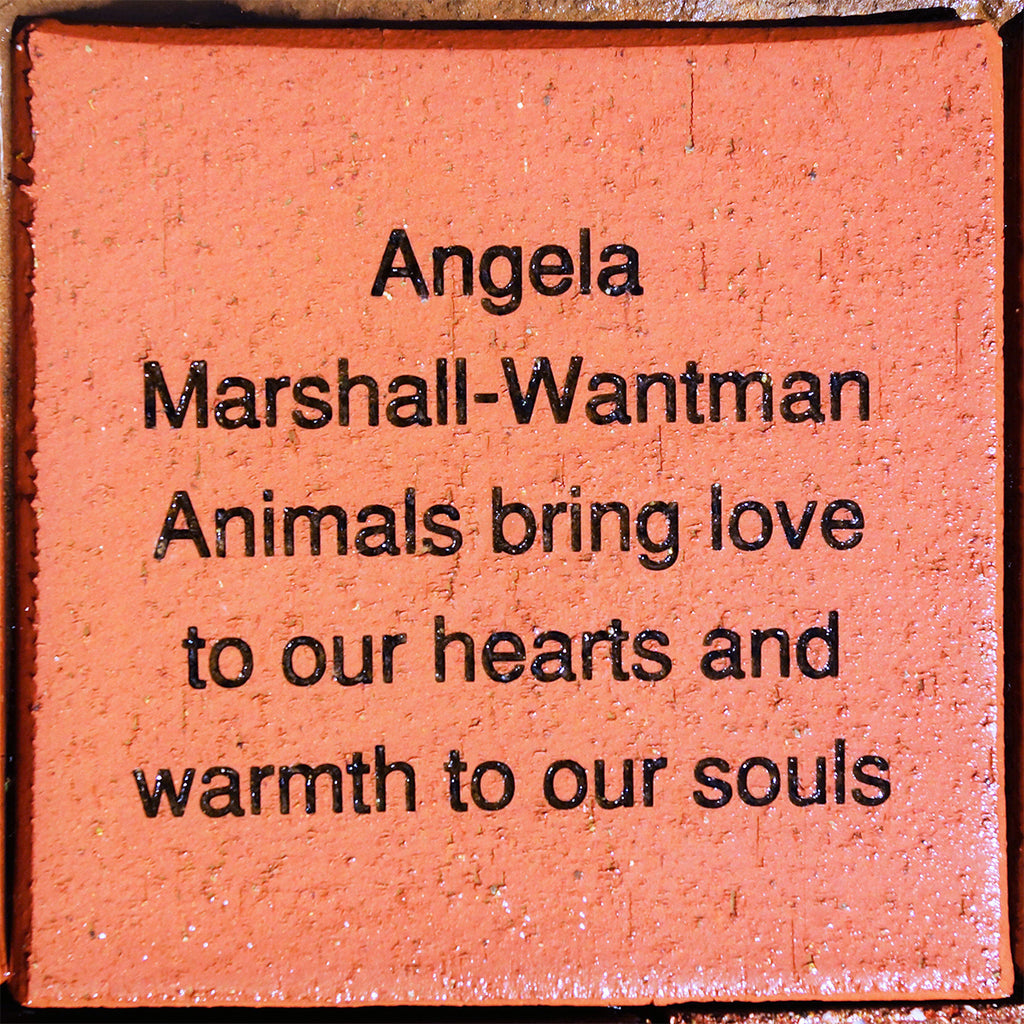 Engraved Bricks