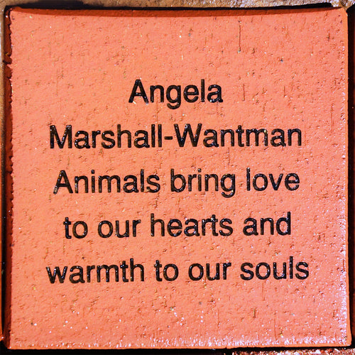 Engraved Bricks